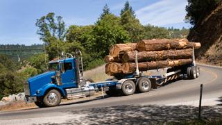 Log Truck